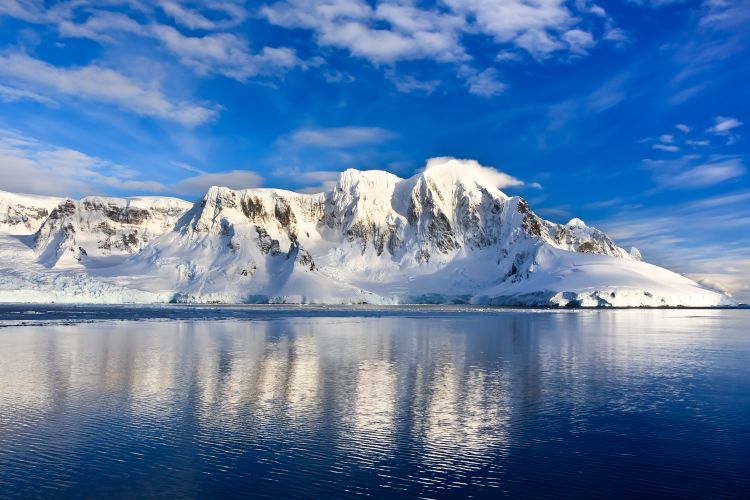 Who Discovered Antarctica